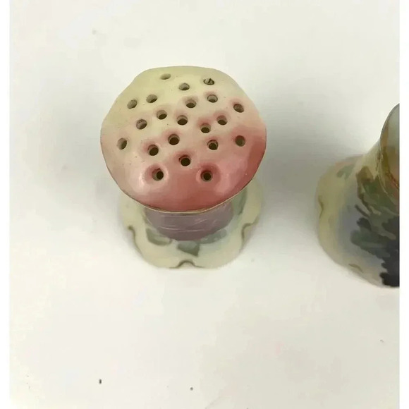 VTG Rosenthal Madeleine Bavarian Porcelain Salt and Pepper Shakers Roses Grapes - Picture 9 of 11